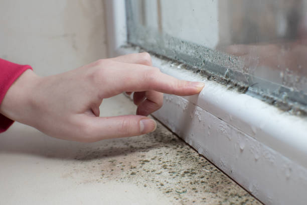 Best Air Quality Testing for Mold Spores  in Middle Valley, TN