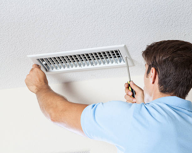 Best Basement Mold Removal  in Middle Valley, TN