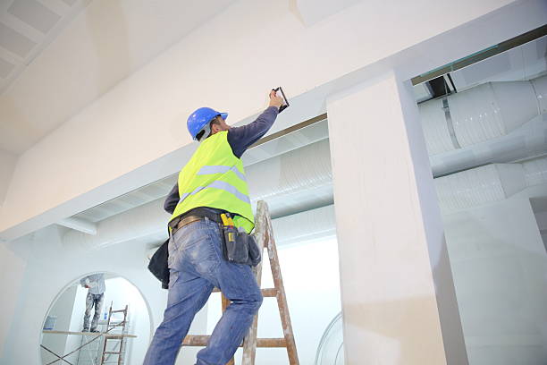 Best Attic Mold Removal  in Middle Valley, TN