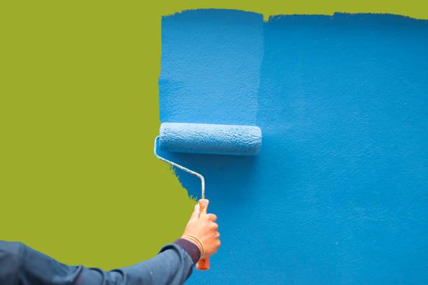 Best Mold Damage Restoration  in Middle Valley, TN
