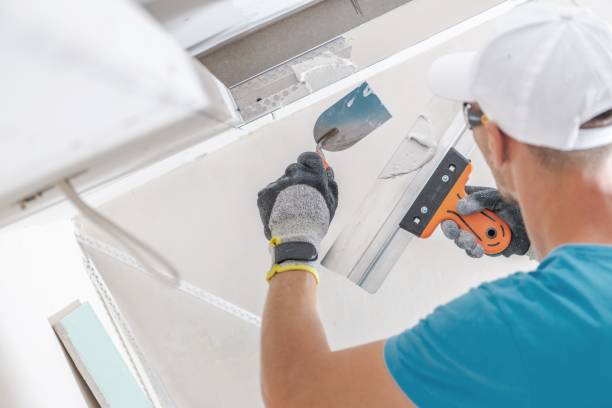 Best Environmental Consulting for Mold Prevention  in Middle Valley, TN